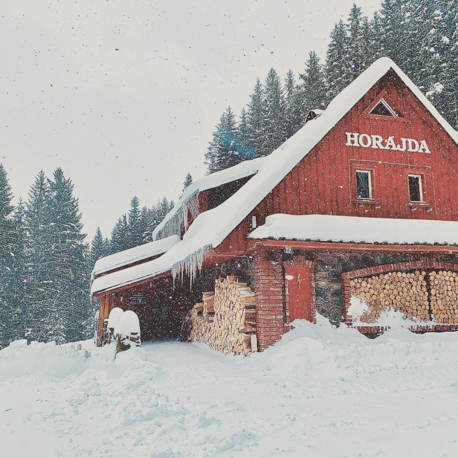 Hotel Penzion Horajda à Vítkovice Extérieur photo